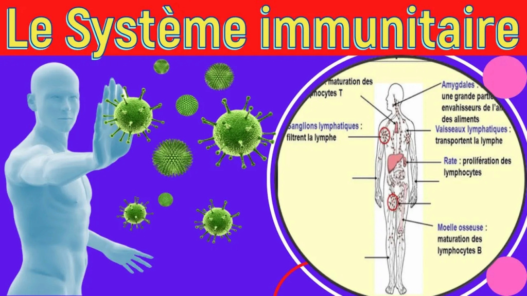 L’immunité naturelle est-elle plus efficace que le vaccin contre la COVID-19 ? Maxres10