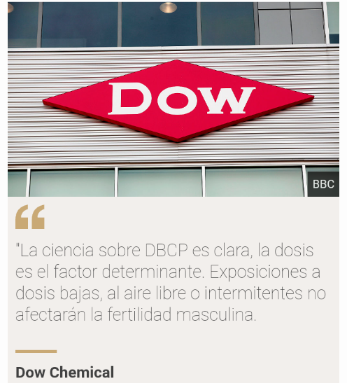 "Los pesticidas nos dejaron estériles”:  La esterilidad de los trabajadores en las fábricas Scree173