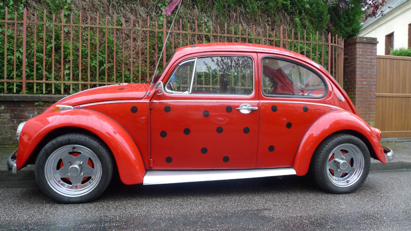 COCCINELLE Coccin10