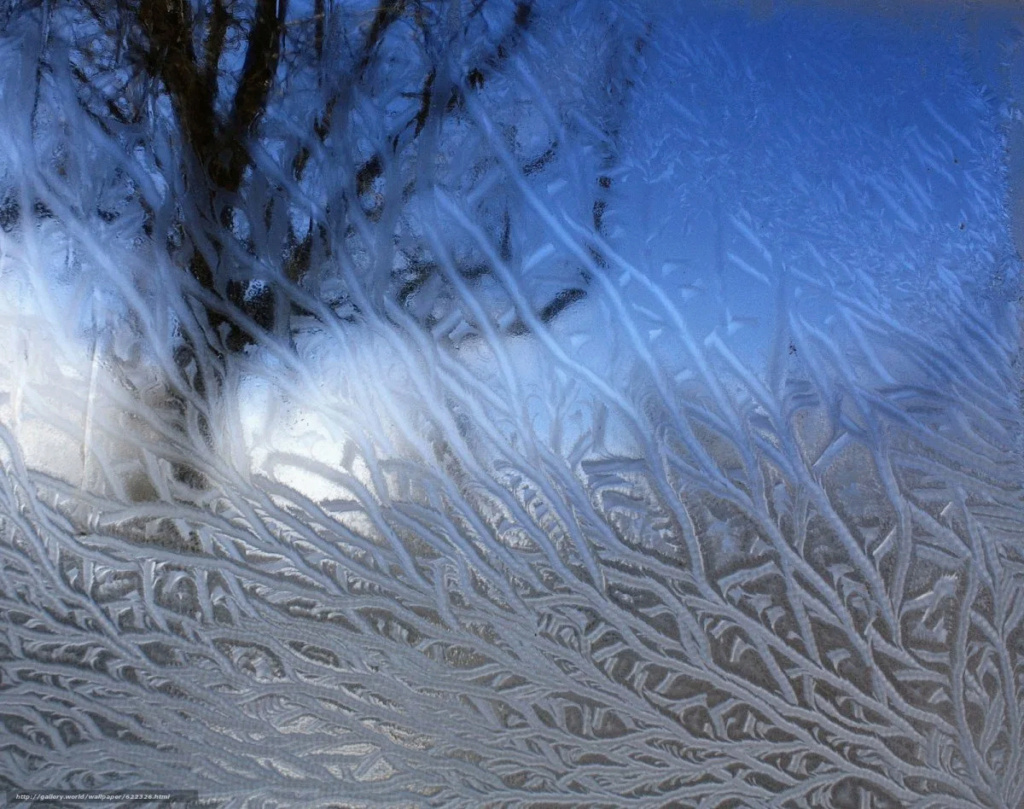 Морозные узоры на стекле замороженные цветы 4e5b4c10