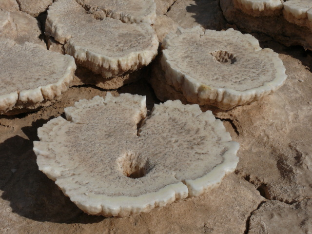 Tigré, Erta Ale, Dallol : un circuit de folie en ÉTHIOPIE ! 093_et10