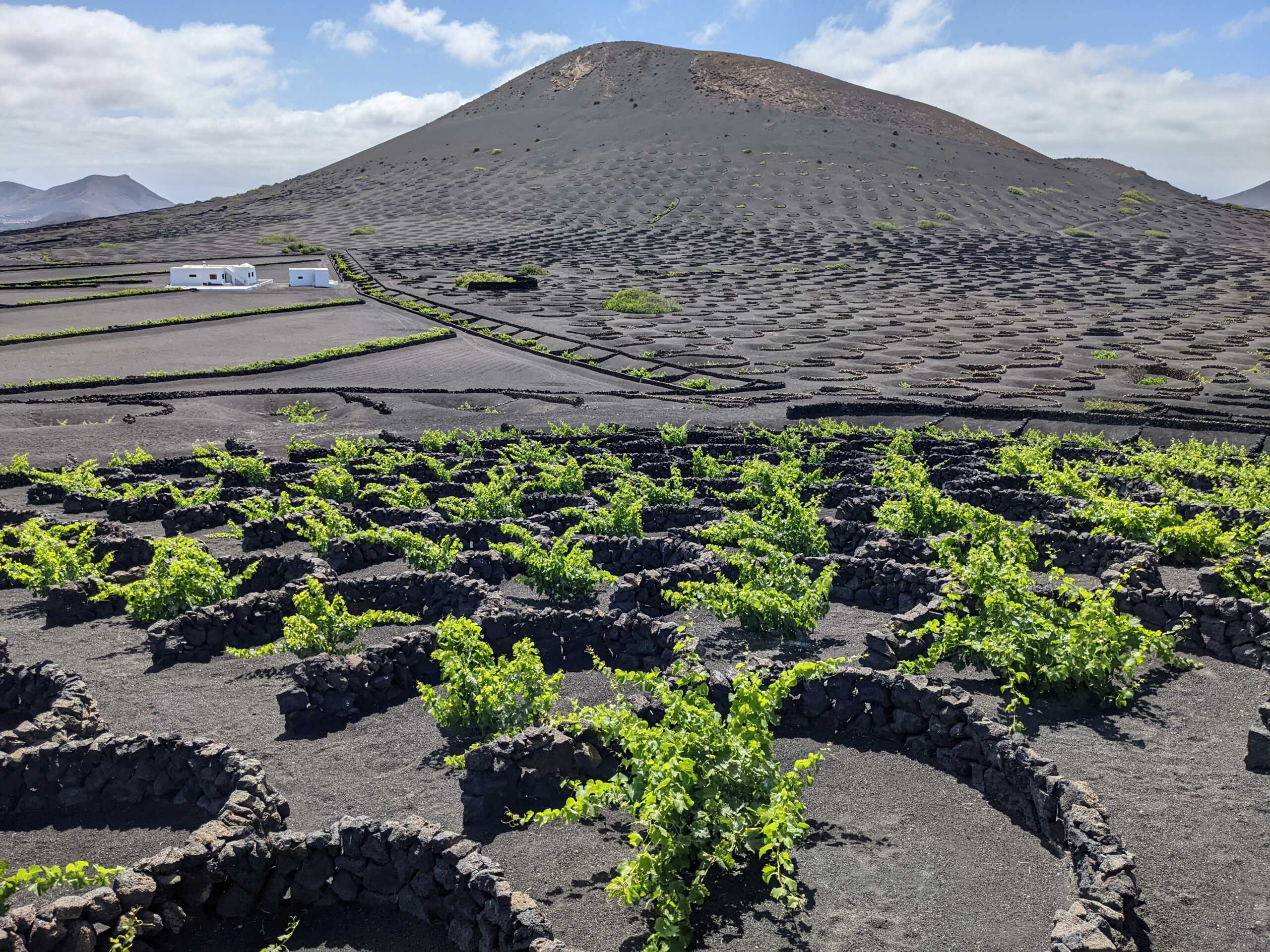 Voyage aux Canaries Lanzarote 60_lan10