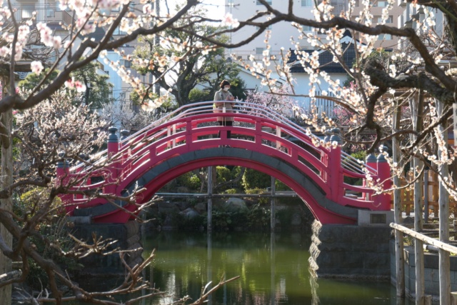 Voyage de 15 jours au Japon 2023: Tokyo, Beppu, Fukuoka 7ea33c10