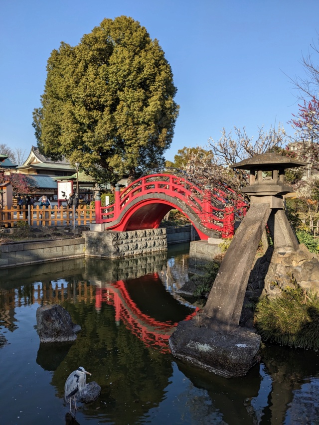 Voyage de 15 jours au Japon 2023: Tokyo, Beppu, Fukuoka 99aa2810