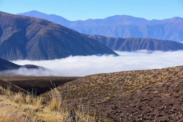 voyage altiplano argentine bolivie Uyuni Sud Lipez Iguazu 15398025