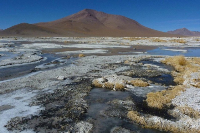 Bolivie sud Lipez salar Uyuni bus voiture guide 15415218