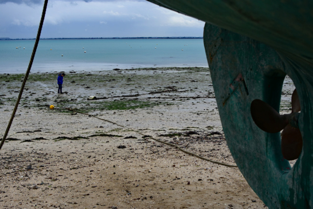 Fil parallèle concours de janvier 2024 : les pieds dans l'eau  2017_118