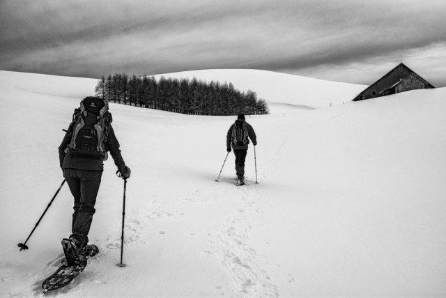 Fil parallèle au concours photos du mois de mai 2024 : Chemin faisant - Page 2 2018_040