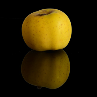 Fil parallèle au concours photo de mars 2024; Fruits et Légumes - Page 7 2022_016