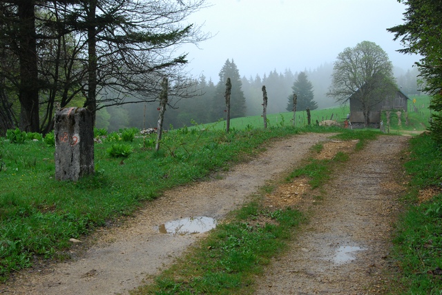 A pied de Provence en Alsace par les sentiers GR Dsc_0910