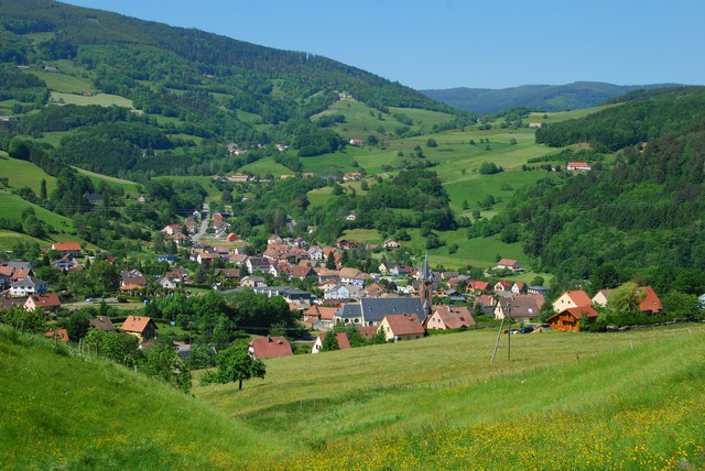 A pied de Provence en Alsace par les sentiers GR Dsc_1115