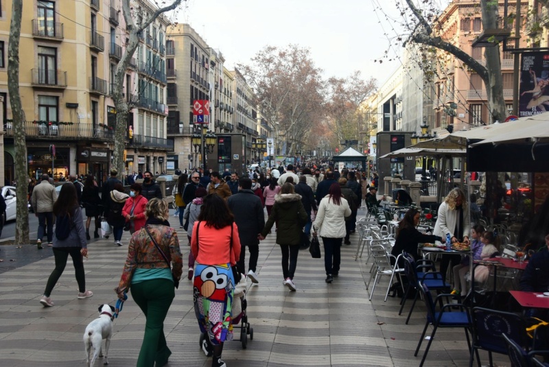 Itinéraire d'une semaine en voiture en Catalogne + Barcelone Dsc_3613