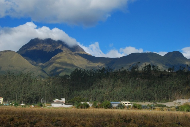 Equateur, entre hauts sommets et la forêt amazonienne Dsc_3622