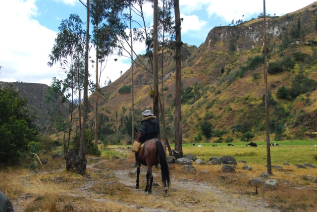 Equateur, entre hauts sommets et la forêt amazonienne Dsc_4118