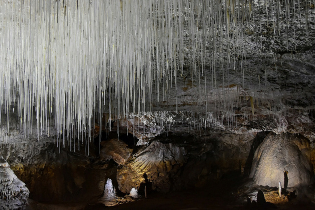 Fil parallèle au concours de décembre 2024 : Un monde souterrain Dsc_4232