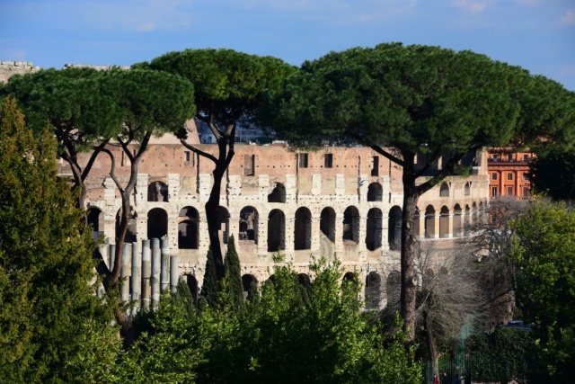 Séjour à Rome: Colisée, Vatican, places, villas Dsc_4320