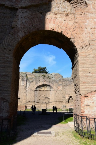 Séjour à Rome: Colisée, Vatican, places, villas Dsc_4533