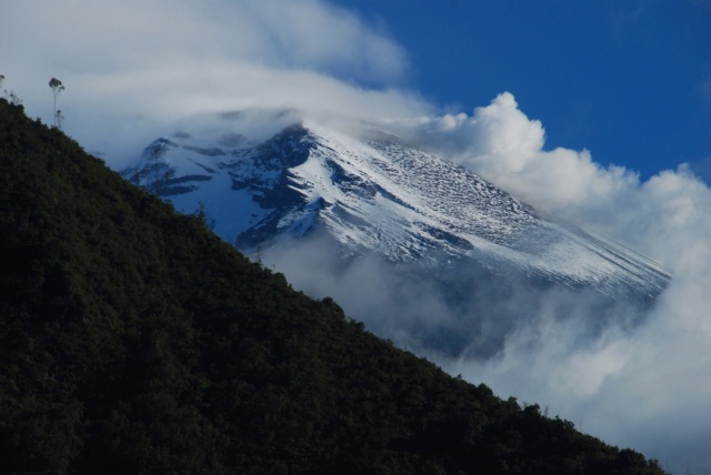 Equateur, entre hauts sommets et la forêt amazonienne Dsc_4643
