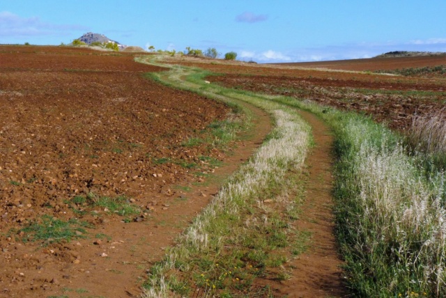 Fil parallèle au concours photos du mois de mai 2024 : Chemin faisant P1110852