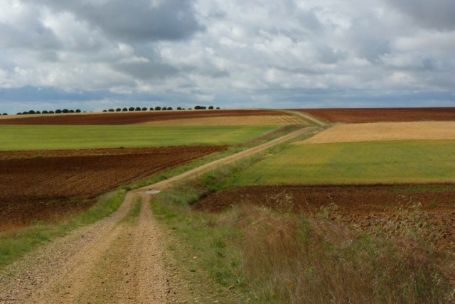 Carnet de randonnée: traverser l'Espagne à pied, itinéraire P1120148