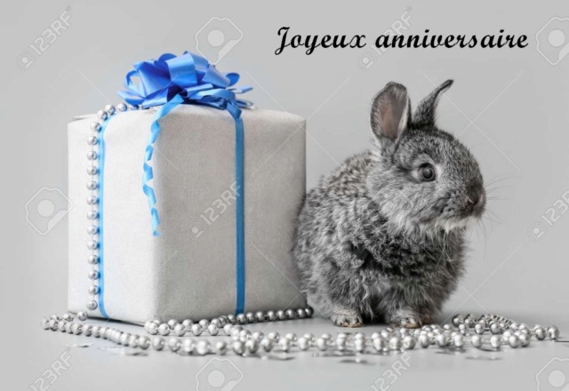 Anniversaire Gwenaelle  1lapin10