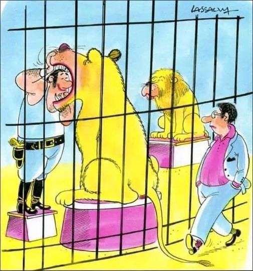 Humour  - Page 35 Lion10