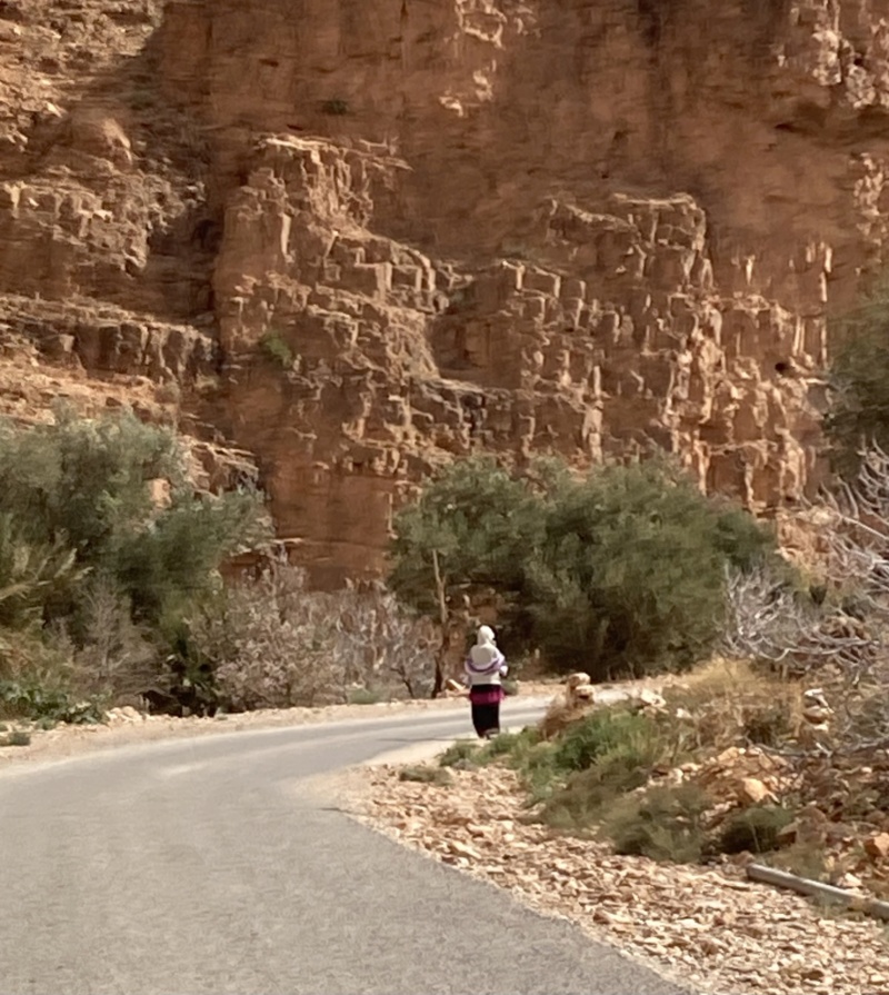 road trip dans le sud marocain à partir de Marrakech Ccc10