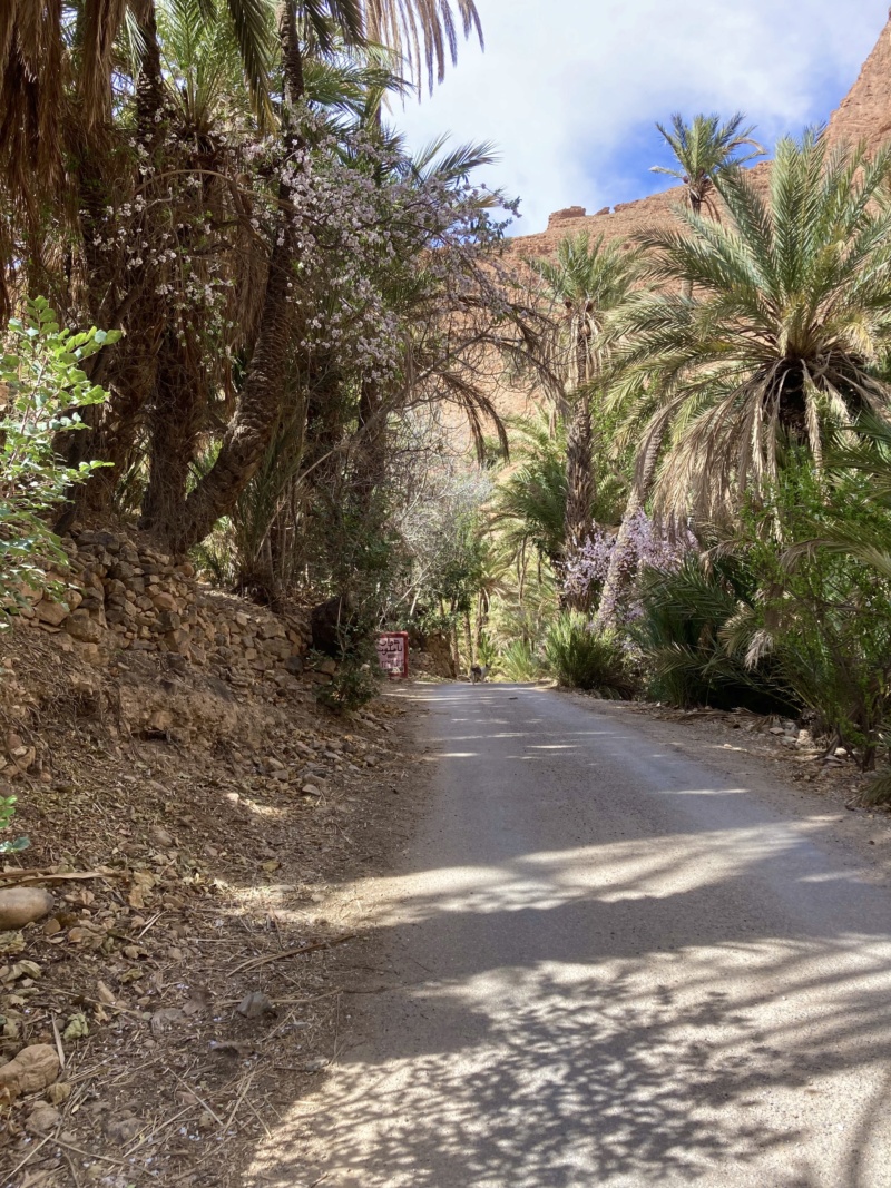 road trip dans le sud marocain à partir de Marrakech Img_4825