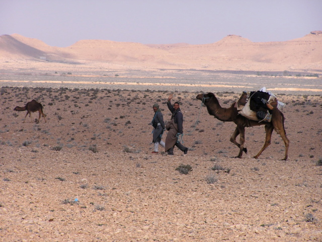 Découvrir la Tunisie hors des sentiers battus : excursions et désert P1710