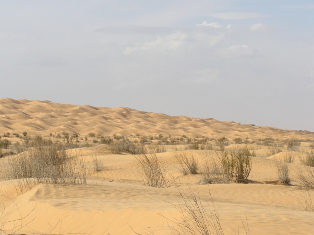 Découvrir la Tunisie hors des sentiers battus : excursions et désert P2110