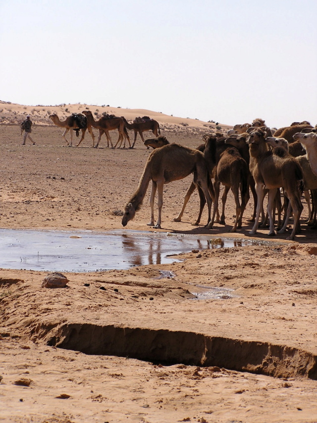 Découvrir la Tunisie hors des sentiers battus : excursions et désert P3711