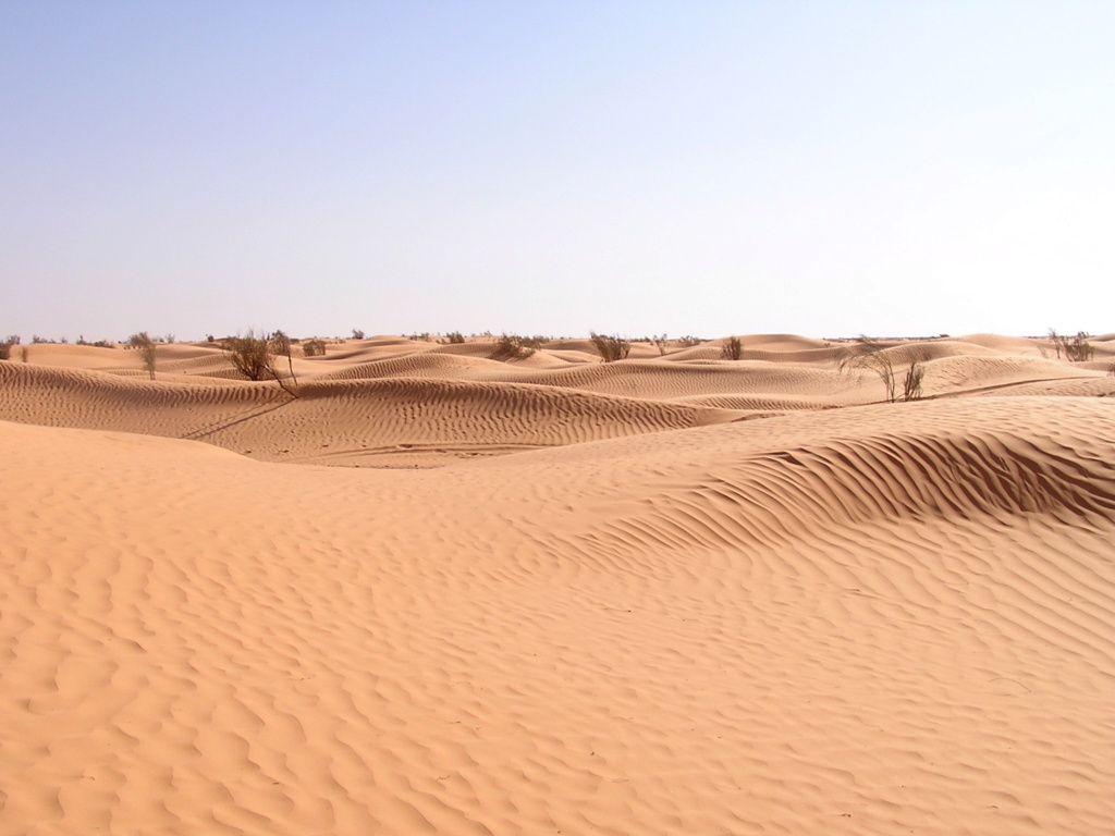 Découvrir la Tunisie hors des sentiers battus : excursions et désert P5710