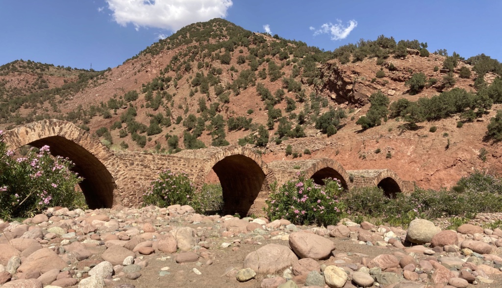 Impressions après quelques balades dans l'Atlas de Marrakech Pont110