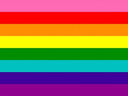 12 drapeaux LGBT différents et leurs significations Lgbtqa10