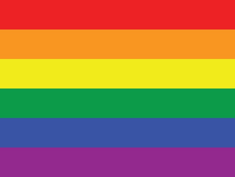 12 drapeaux LGBT différents et leurs significations Lgbtqa11