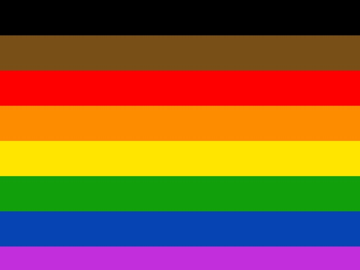 12 drapeaux LGBT différents et leurs significations Lgbtqa12