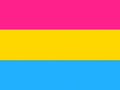 12 drapeaux LGBT différents et leurs significations Lgbtqa15