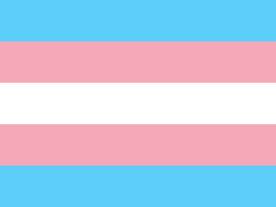 12 drapeaux LGBT différents et leurs significations Lgbtqa19