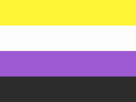 12 drapeaux LGBT différents et leurs significations Lgbtqa20