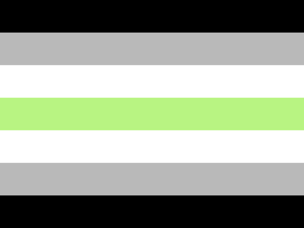 12 drapeaux LGBT différents et leurs significations Lgbtqa21