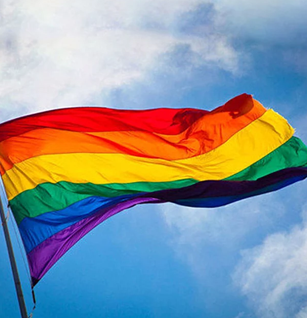 Le drapeau LGBT simple Screen10