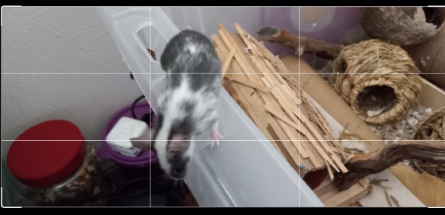 Hi!!(again) Screen11