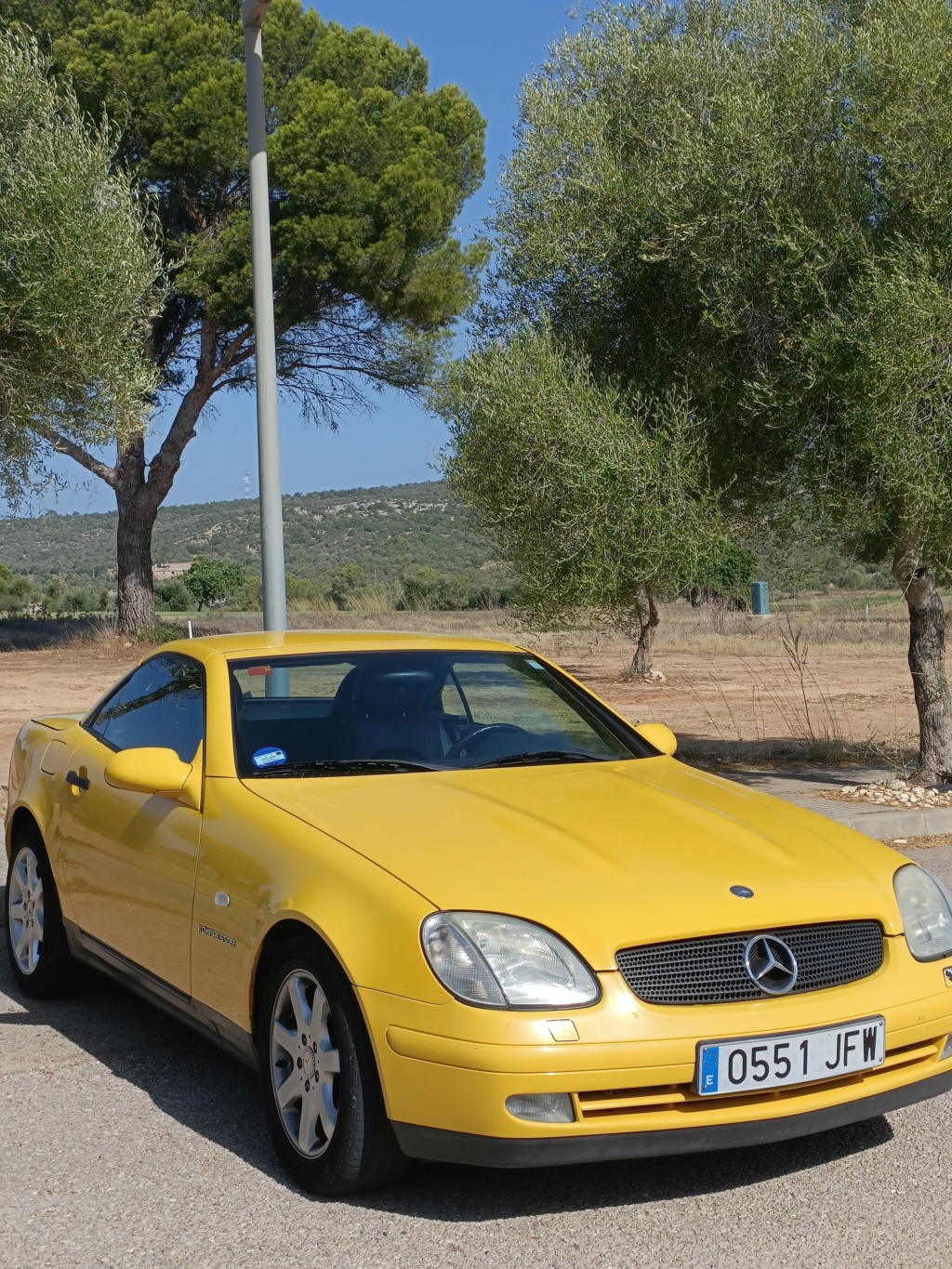 Mi nueva abeja reina 230 slk 1997  Img20211