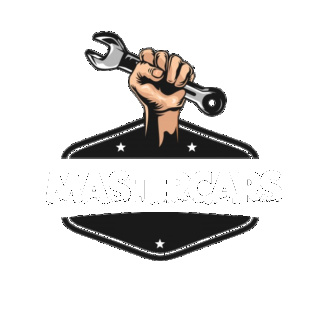 (Currículum MastersCars) pablo daniele Master11