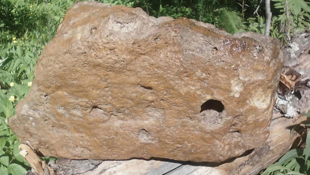 Органическии метеорит  Img_2054