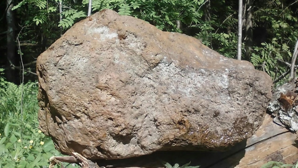 Органическии метеорит  Img_2055