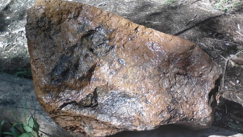 Органическии метеорит  Img_2056
