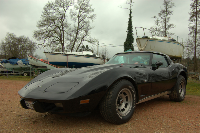 Corvette '79 L-82 de Tux35 Imgp6611