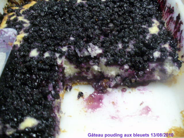 Gâteau pouding aux bleuets(photo) Gateau12