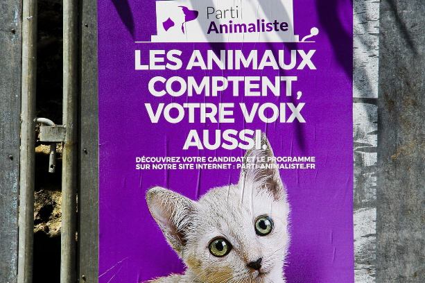 France :Parti animaliste : un bon résultat aux européenne.. 11241110
